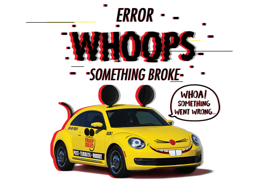 Error Image